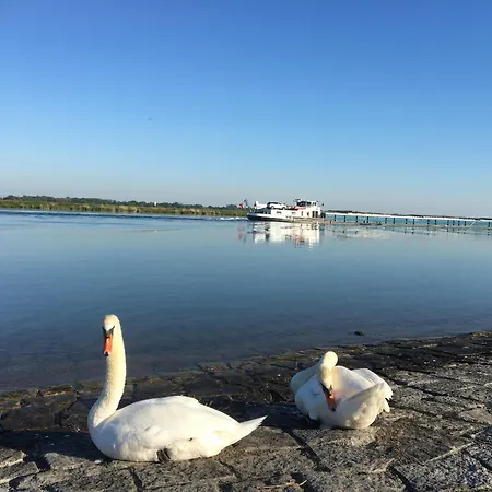 Daire Klimatisierte Schwarzwald Europapark Rust Barrierefrei 110 Qm *