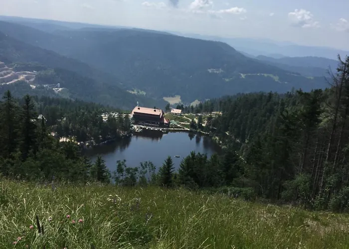 Klimatisierte Schwarzwald Europapark Rust Barrierefrei 110 Qm