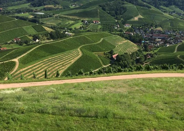 아파트 Klimatisierte Schwarzwald Europapark Rust Barrierefrei 110 Qm