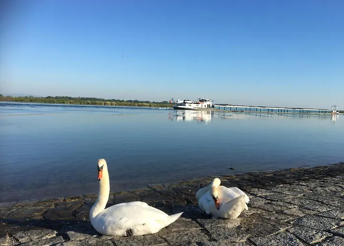 아파트 Klimatisierte Schwarzwald Europapark Rust Barrierefrei 110 Qm *